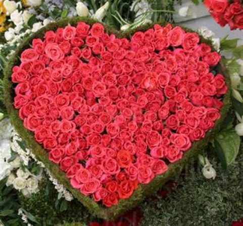 Red roses heart  